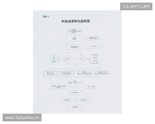 完整解析篮球比赛中断规则的定义与执行流程